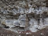 A detailech