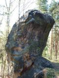 Sloupcov v